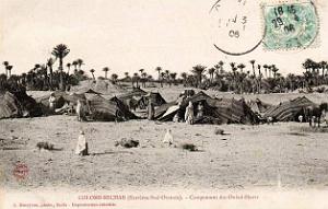 Colomb bechar 607